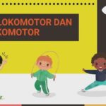 Lokomotor dan Nonlokomotor: Pengertian, Contoh, dan Perannya dalam Gerak Dasar Manusia