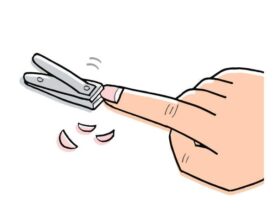 Potong Kuku Hari Selasa: Mitos, Fakta, dan Pandangan yang Perlu Anda Tahu